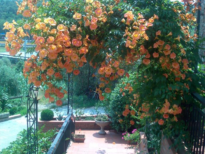 La Magione Hotel Serravalle Pistoiese Bagian luar foto